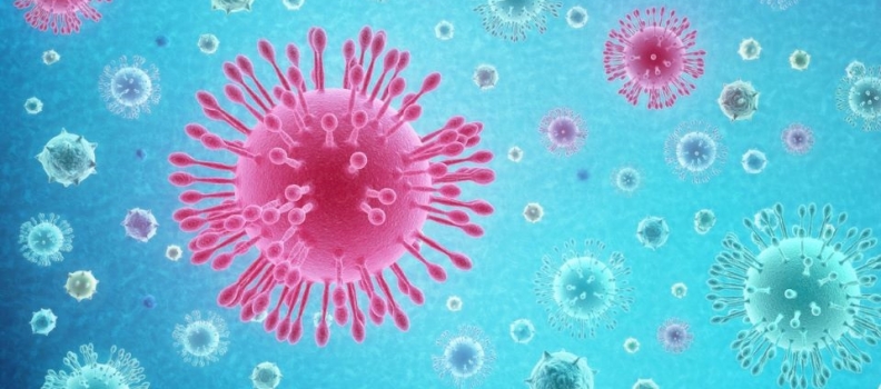 Koronaviruset, opning av skulen for 1. – 4. klasse den 27. april